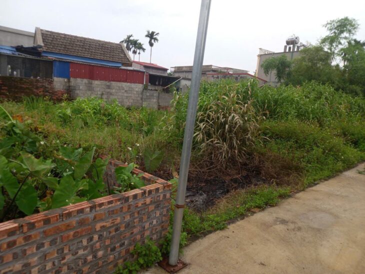 Đất giá rẻ Hữu Bằng – Kiến Thụy, ô tô vào tận nơi chỉ 7xx triệu ZALO 0567 222 555