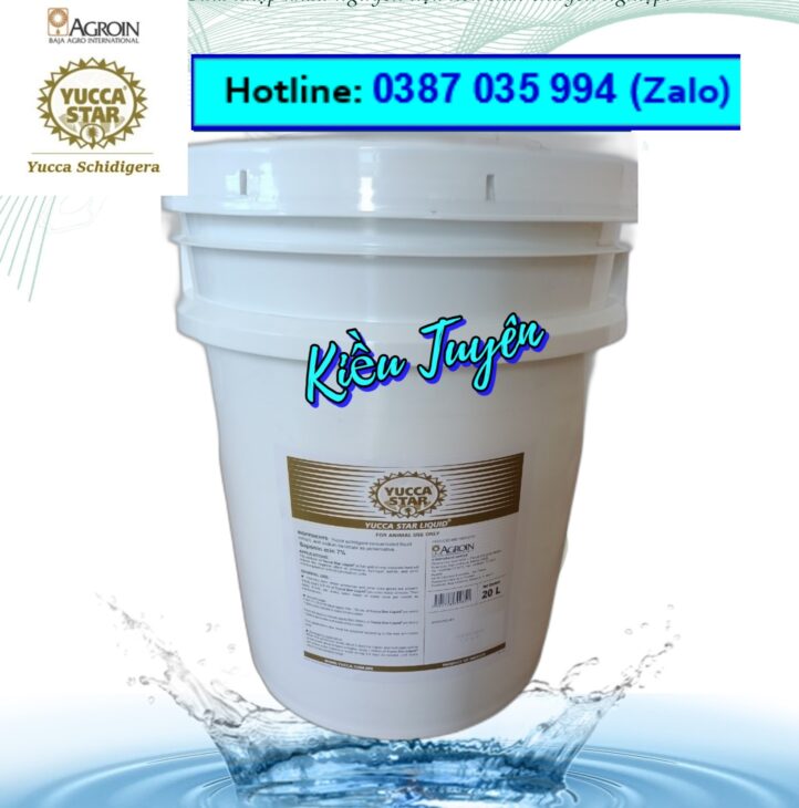 Yucca nguyên liệu, yucca Mexico, yucca bột, yucca nước