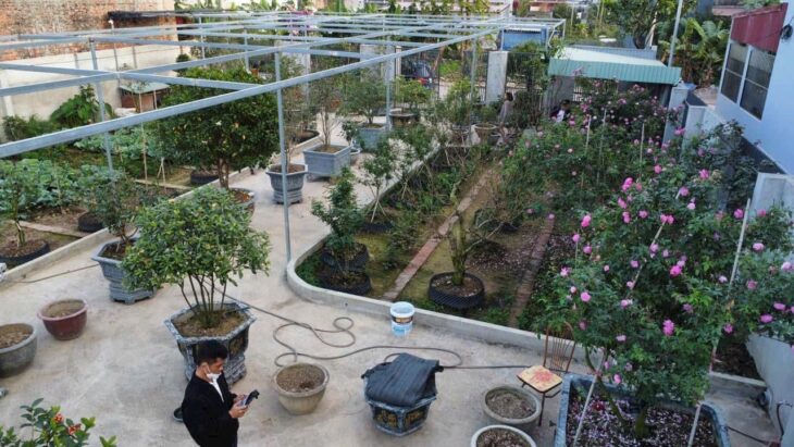 Siêu phẩm đất 642m² vườn hồng – trung tâm Tân Thành, Dương Kinh – giá chỉ hơn 2x triệu/m² – ZALO