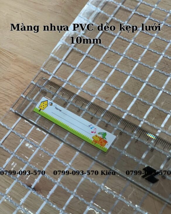 TẤM MÀNG NHỰA PVC KẸP LƯỚI 10MM GIÁ RẺ TẠI THÁI NGUYÊN