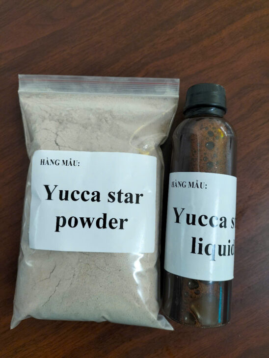 Yucca nguyên liệu, yucca Mexico, yucca bột, yucca nước