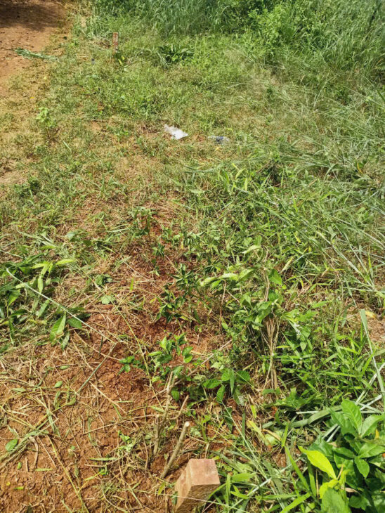 Cần bán đất Củ Chi TPHCM 18.000m2 giá 79ty