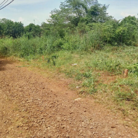 SUN VALLEY – TRÁI TIM NGHỈ DƯỠNG BẢO LỘC LÂM ĐỒNG SUN VALLEY – TRÁI TIM NGHỈ DƯỠNG BẢO LỘC LÂM ĐỒNG