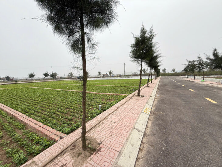 Em cần bán lô khu đất quất lâm ven biển 90m2 chỉ 1.5 tỷ thôi ạ!