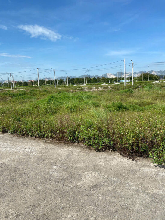 HOT HOT ĐẤU GIÁ ĐẤT TẠI XÃ TÂN THANH NINH BÌNH HÀ NAM CŨ