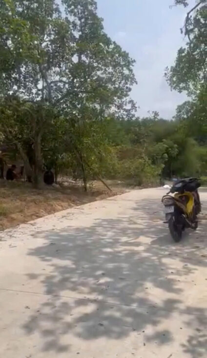 Chính chủ cần bán đất giá rẻ – Chỉ 650 triệu/sào- Lộc Ninh – Bình Phước