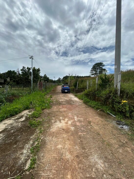 BÁN GẤP CHÍNH CHỦ : Thôn 6, xã Gia Lâm, huyện Lâm Hà, tỉnh Lâm Đồng- TỰA THÔNG VIEW VƯỜN CÀ PHÊ.