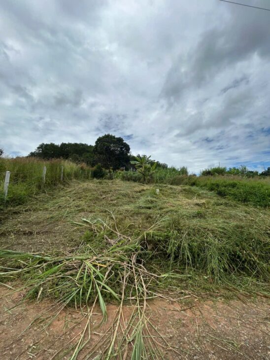 BÁN GẤP CHÍNH CHỦ : Thôn 6, xã Gia Lâm, huyện Lâm Hà, tỉnh Lâm Đồng- TỰA THÔNG VIEW VƯỜN CÀ PHÊ.