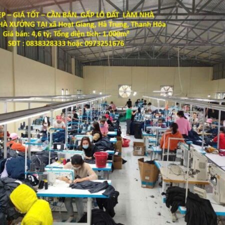 ĐẤT ĐẸP – GIÁ TỐT – CẦN BÁN. GẤP LÔ ĐẤT LÀM NHÀ VƯỜN , NHÀ XƯỞNG TẠI xã Hoạt Giang, Hà Trung,