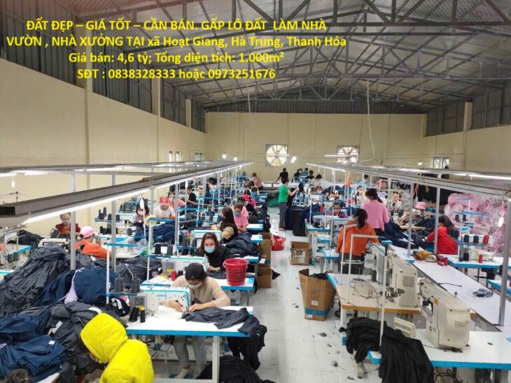 ĐẤT ĐẸP – GIÁ TỐT – CẦN BÁN. GẤP LÔ ĐẤT LÀM NHÀ VƯỜN , NHÀ XƯỞNG TẠI xã Hoạt Giang, Hà Trung,