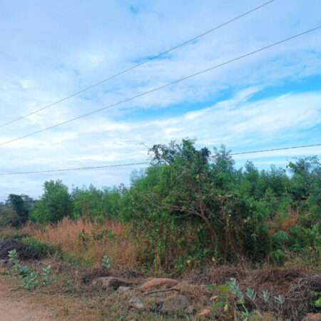 CHÍNH CHỦ CẦN BÁN GẦN 12.000m² ĐẤT TẠI XÃ SÔNG BÌNH, BẮC BÌNH, BÌNH THUẬN