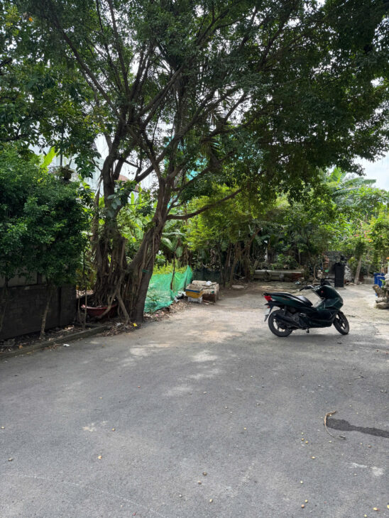 Cần Bán Nền Biệt Thự Vườn KDC Đường B, Dự án Bình Dân. DT 235m2 full thổ cư