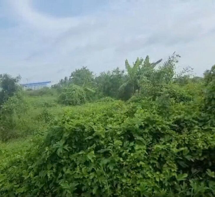 ĐẤT CHÍNH CHỦ- GIÁ TỐT CẦN BÁN NHANH LÔ ĐẤT Tân Trạch, Cần Đước, Long An