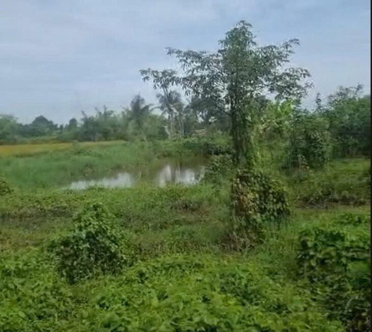 ĐẤT CHÍNH CHỦ- GIÁ TỐT CẦN BÁN NHANH LÔ ĐẤT Tân Trạch, Cần Đước, Long An