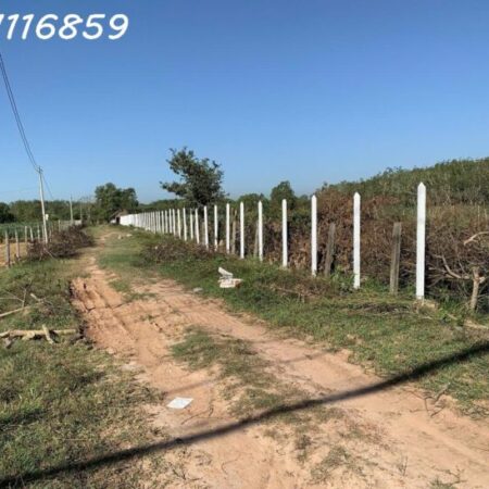 Cần bán 1.8ha Đất MT Nguyễn Thị Rành Củ Chi 79 tỷ.