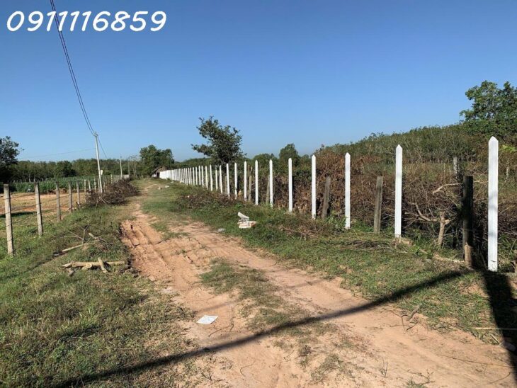 Cần bán 1.8ha Đất MT Nguyễn Thị Rành Củ Chi 79 tỷ.