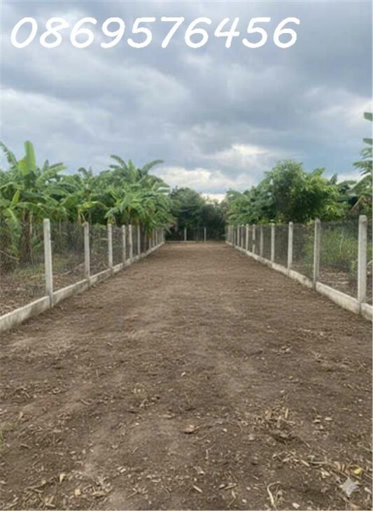 MUA BÁN ĐẤT VƯỜN TẠI KHÁNH HOÀ
