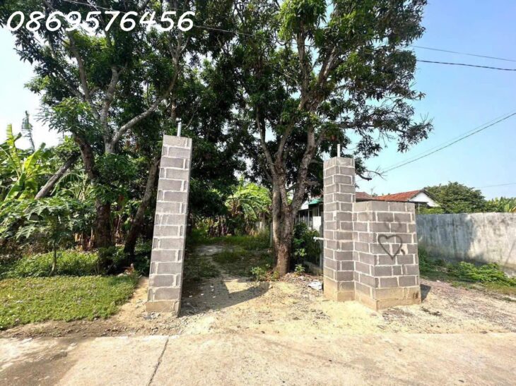 MUA BÁN ĐẤT VƯỜN TẠI KHÁNH HOÀ