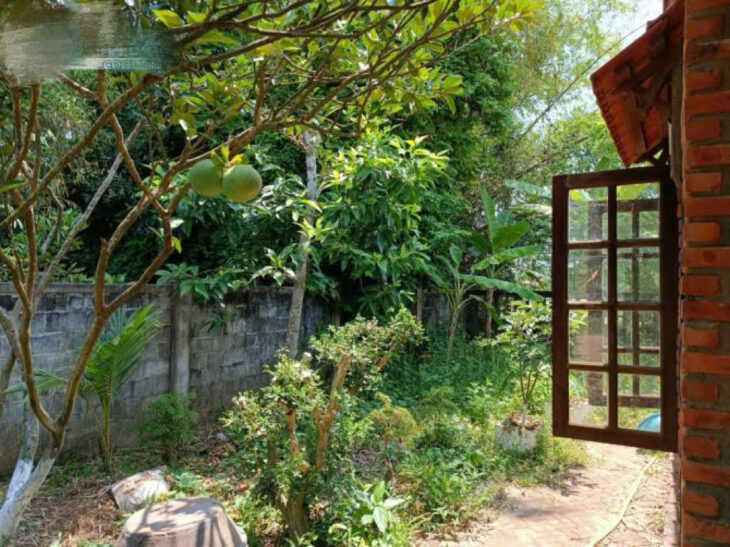 CẦN BÁN NHÀ VƯỜN VIEW SÔNG CÁI HÒA PHƯỚC – HÒA VANG- ĐÀ NẴNG – DIỆN TÍCH LỚN, VỊ TRÍ ĐẸP