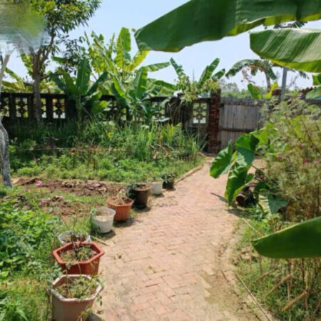 CẦN BÁN NHÀ VƯỜN VIEW SÔNG CÁI HÒA PHƯỚC – HÒA VANG- ĐÀ NẴNG – DIỆN TÍCH LỚN, VỊ TRÍ ĐẸP