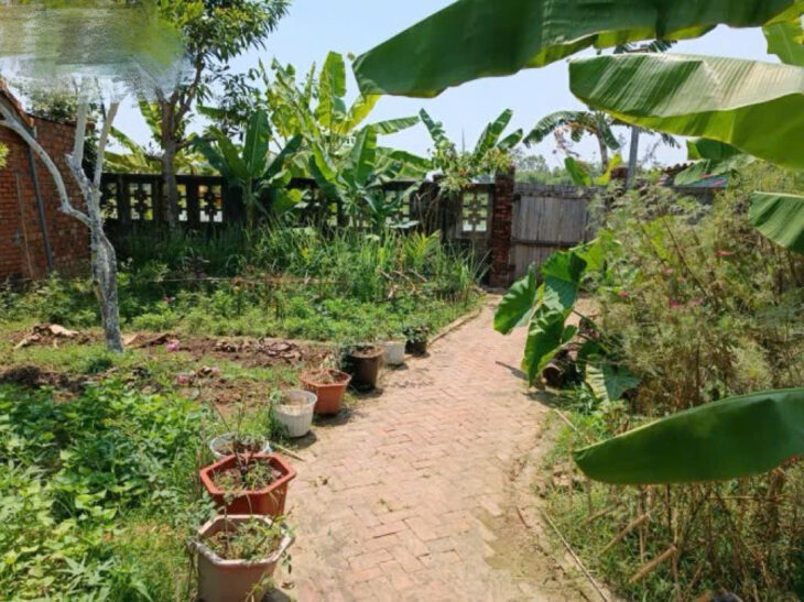CẦN BÁN NHÀ VƯỜN VIEW SÔNG CÁI HÒA PHƯỚC – HÒA VANG- ĐÀ NẴNG – DIỆN TÍCH LỚN, VỊ TRÍ ĐẸP