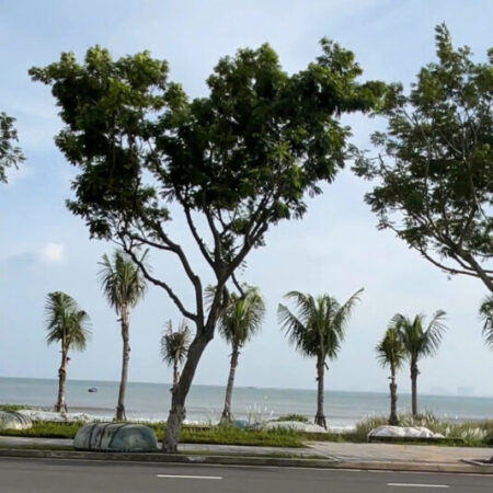 CẦN BÁN MẶT TIỀN BIỂN ĐƯỜNG HOÀNG SA – KHU PHỨC HỢP ĐÔ THỊ DỊCH VỤ THƯƠNG MẠI CAO TẦNG – SƠN TRÀ – CẦN BÁN MẶT TIỀN BIỂN ĐƯỜNG HOÀNG SA – KHU PHỨC HỢP ĐÔ THỊ DỊCH VỤ THƯƠNG MẠI CAO TẦNG – SƠN TRÀ –