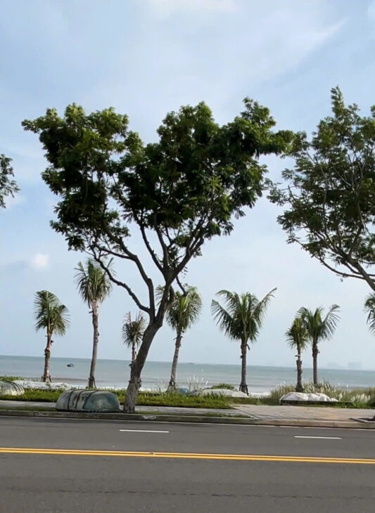 CẦN BÁN MẶT TIỀN BIỂN ĐƯỜNG HOÀNG SA – KHU PHỨC HỢP ĐÔ THỊ DỊCH VỤ THƯƠNG MẠI CAO TẦNG – SƠN TRÀ –