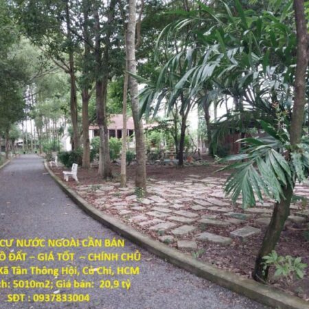 ĐỊNH CƯ NƯỚC NGOÀI CẦN BÁN NHANH LÔ ĐẤT – GIÁ TỐT – CHÍNH CHỦ BÁN TẠI Xã Tân Thông Hội, Củ Chi ĐỊNH CƯ NƯỚC NGOÀI CẦN BÁN NHANH LÔ ĐẤT – GIÁ TỐT – CHÍNH CHỦ BÁN TẠI Xã Tân Thông Hội, Củ Chi