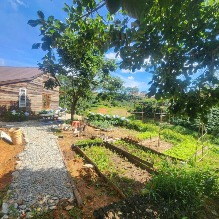 CHO THUÊ HOMESTAY TRẦN THÁI TÔNG PHƯỜNG 9 – ĐÀ LẠT