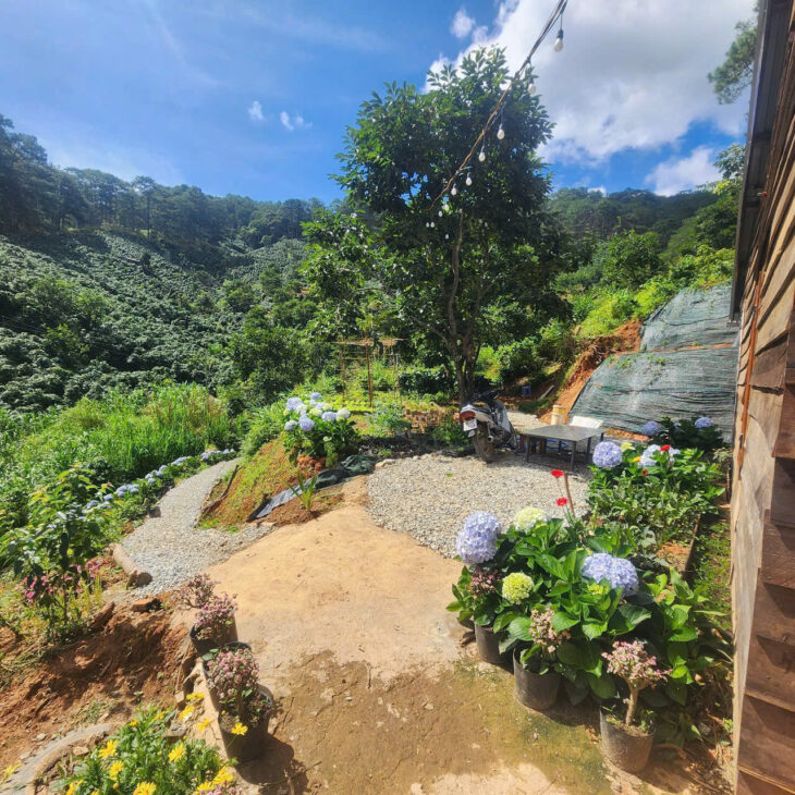 CHO THUÊ HOMESTAY TRẦN THÁI TÔNG PHƯỜNG 9 – ĐÀ LẠT