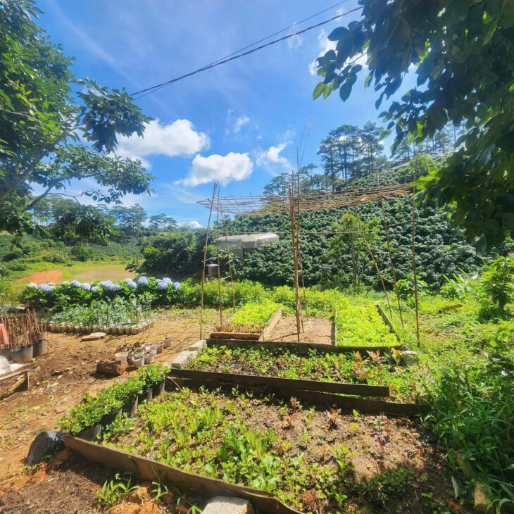 CHO THUÊ HOMESTAY TRẦN THÁI TÔNG PHƯỜNG 9 – ĐÀ LẠT