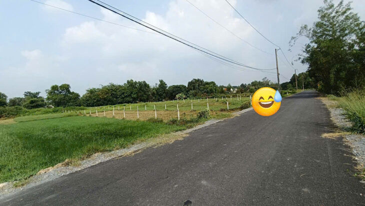 Chính chủ bán đất đường cây gõ, An phú, Củ Chi Chính chủ bán đất đường cây gõ, An phú, Củ Chi