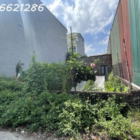 SIÊU HIẾM – Bán đất Giang Biên, ngõ ô tô, gần chợ Quán Tình Quang, 30m² giá 3,7 tỷ SIÊU HIẾM – Bán đất Giang Biên, ngõ ô tô, gần chợ Quán Tình Quang, 30m² giá 3,7 tỷ