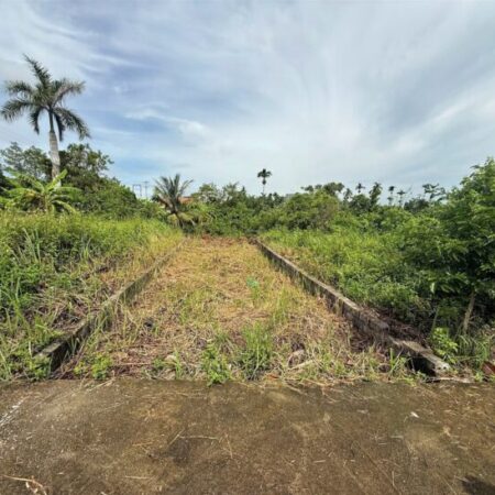 Đất Hòa Nghĩa giá hiếm chỉ 1,x tỷ – gần đường lớn, tiềm năng sinh lời cực cao! ZALO 0567 222 555