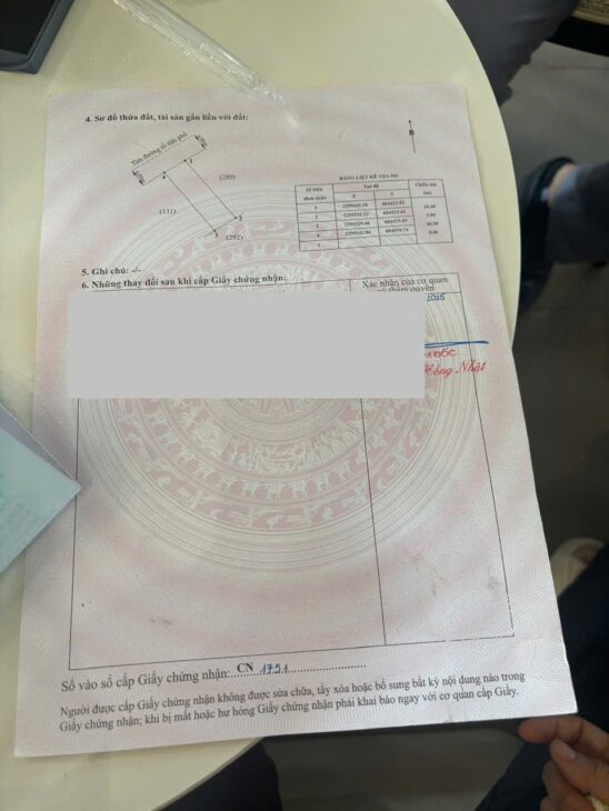 LÔ ĐẸP NHÁNH 3 BÙI PHỔ – TÂN THÀNH – DƯƠNG KINH CHỈ 2X TRIỆU/M² ZALO 0567 222 555