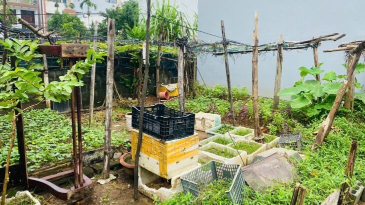 Bán lô góc Sơn Thủy 12 gần biển, 127.6m², vị trí đẹp hiếm, giá chỉ 10.5 tỷ