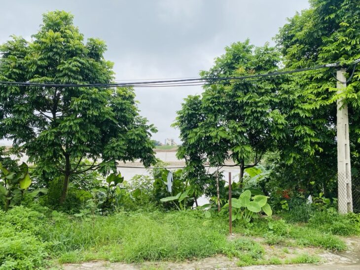 Đất Ngọc Thuỵ 102m, lô góc, oto tránh, view sông giá chỉ nhỉnh 8 tỷ còn tl.