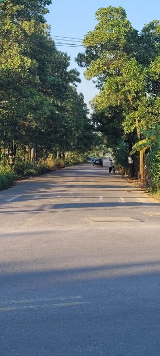 Bán đất Lệ Chi 646,4m² ,ngõ 4m, xe 16 chỗ chạy vòng quanh – giá chỉ 25 triệu/m²