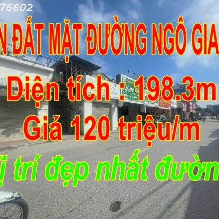 Bán nhà mặt đường tại Ngô Gia Tự, 198m2, Giá cực tốt chỉ 120 triệu/m2,