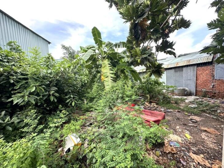 Bán đất hẻm rộng Gò Dưa, Tam Bình, Thủ Đức 189m2 ngang 11m dài 17m 4,5 tỷ