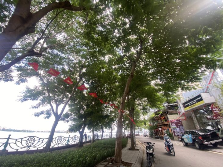 ???? SIÊU PHẨM MẶT PHỐ VỆ HỒ, QUẢNG AN 366M2 4T MT 11M, VIEW HỒ TÂY, CHỈ 460 TỶ ????