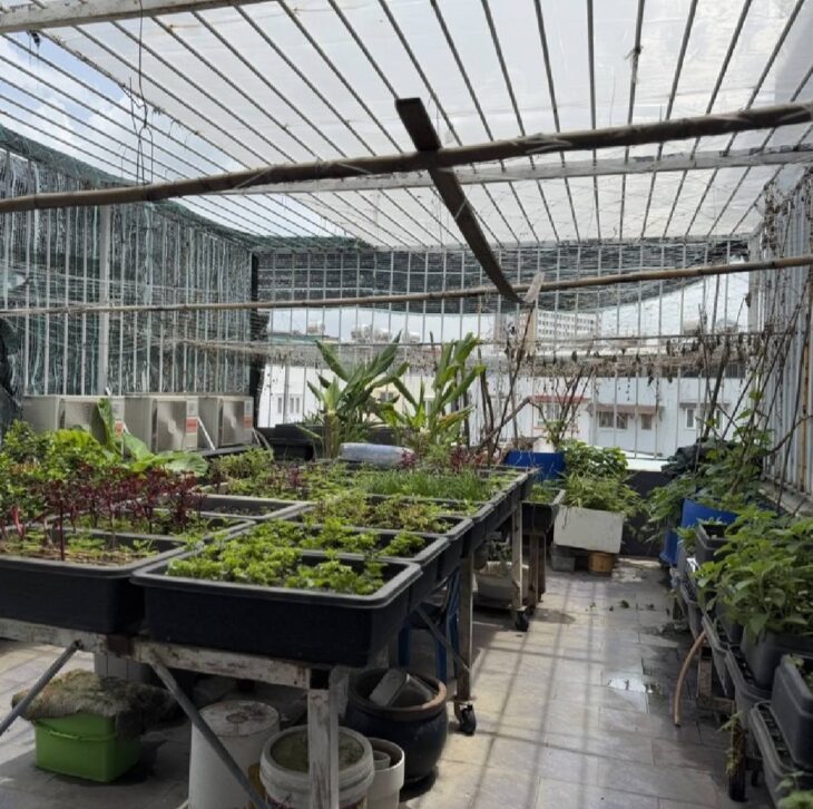 Nhà vị trí siêu đẹp Tăng Nhơn Phú,Phước Long B, Kết cấu 3 tầng Thiết kế: sân vườn, gara ô tô 2