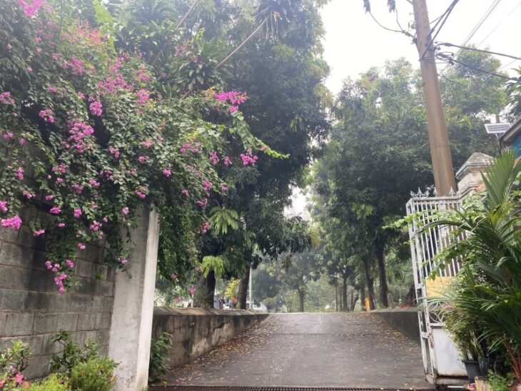 Bán nhà đường số 38, Bình Trưng Tây, Q2, TP HCM. DT 5x27m, 135m2, 3PN, SH, 10.2 tỷ.