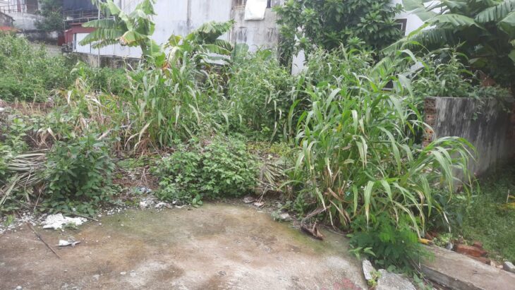 GIÁ HIẾM TRUNG TÂM ĐỒ SƠN – CHỈ 1.3X TỶ – ZALO 0567 222 555