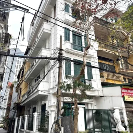 Mặt Phố lô góc ô tô tránh kinh doanh, Huy Du, Lưu Hữu Phước, 55m, 25 Tỷ Mặt Phố lô góc ô tô tránh kinh doanh, Huy Du, Lưu Hữu Phước, 55m, 25 Tỷ