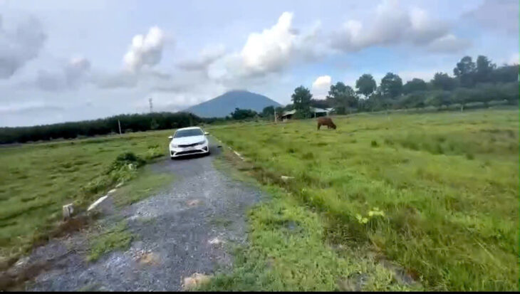 Bán Gấp Lô Đất Đẹp Giá Tốt DT 3.700m² Tại Tân Hòa, Tân Bình, TP. Tây Ninh