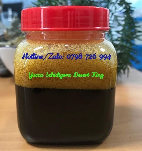 Cần bán Yucca Nguyên Liệu, Yucca Mỹ, Yucca Bột, Yucca Nước, Yucca Lỏng, Yucca DK, Yucca DesertKing