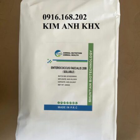 Vi sinh ENTEROCOCCUS FAECALIS 20B (SOLUBLE) giao toàn quốc