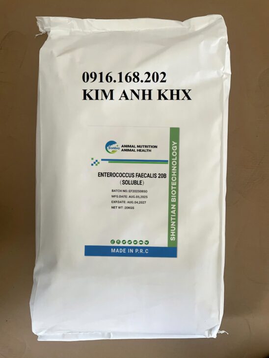 Vi sinh ENTEROCOCCUS FAECALIS 20B (SOLUBLE) giao toàn quốc