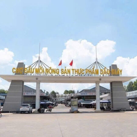 Nhà phố, đất nền tại Dầu Giây. Ngay TTHC, chợ đầu mối nông sản Dầu Giây, cao tốc Dầu Giây – Long
